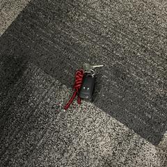 Sleutelbos, segons ha informat Jaarbeurs mitjançant iLost