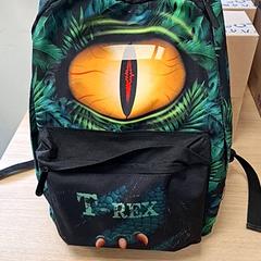 Taška groen en zwart, jak nahlášeno Regio Antwerpen - Brussel pomocí iLost