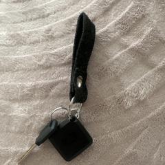 sleutel, som rapportert til iLost