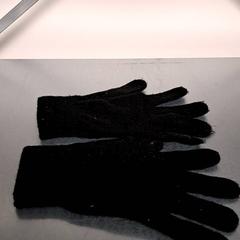 장갑, iLost를 사용하여 Keolis Lund에 보고됨