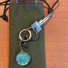 Nycklar Groen, rapporterat av Gemeente Amsterdam med iLost