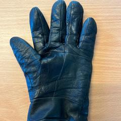 Handske, as reported by Keolis Landskrona using iLost