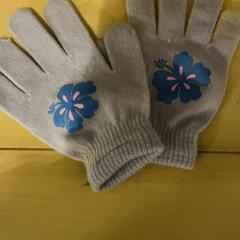 Guants, segons ha informat Familie Resort Molenwaard mitjançant iLost