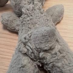 Knuffel, som rapportert av Qbuzz Fryslân ved bruk av iLost