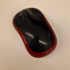 Mouse, as reported by HvA Amstelcampus using iLost