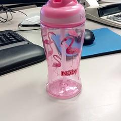 Wasserflasche Roze, gemeldet von Burgers' Zoo über iLost