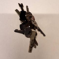 المفاتيح، كما تم الإبلاغ عنه بواسطة Qbuzz ZHN عبر iLost