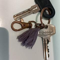 Chiavi, come riportato da Arriva Limburg Zuid utilizzando iLost