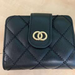 Brieftasche Valentina Ivanova, gemeldet von Gemeente Stichtse Vecht über iLost