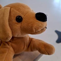 Mazlící hračka Chien marron, jak nahlášeno IKEA Rouen Tourville-La-Rivière pomocí iLost