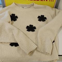 Kleding - Trui beige, a été signalé par Centraal magazijn utilisant iLost