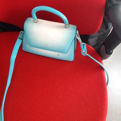 Tasje, ako bolo nahlásené Syntus Provincie Utrecht pomocou iLost