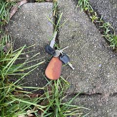 Sleutelbos, amint azt az iLostnak jelentették.