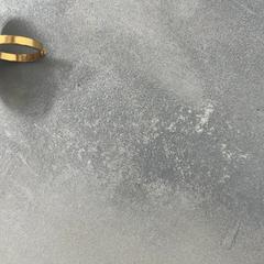 반지, iLost를 사용하여 RRReis Arriva Achterhoek-Rivierenland에 보고됨