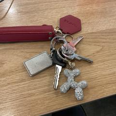 İLost kullanarak Gemeente Alkmaar tarafından bildirildiği gibi Anahtarlar