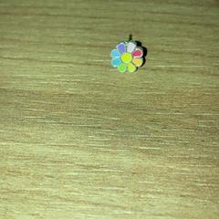 귀걸이, iLost를 사용하여 Attractie- & Vakantiepark Slagharen에 보고됨