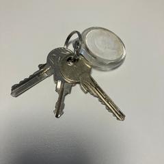 Nøkkelring, som rapportert av Gemeente Ede ved bruk av iLost