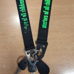 Sleutelbos, zgłoszono przez Politiezone Rivierenland przy użyciu iLost