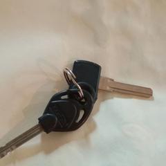 Sleutels, as reported to iLost