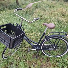 Cortina fiets blauw, segons s'ha informat a iLost