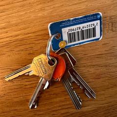 sleutelbos, som rapporterats till iLost