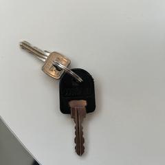 İLost kullanarak UMC Utrecht tarafından bildirildiği gibi Bisiklet anahtarı