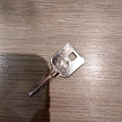 열쇠, iLost를 사용하여 Van der Valk Hotel Vianen에 보고됨