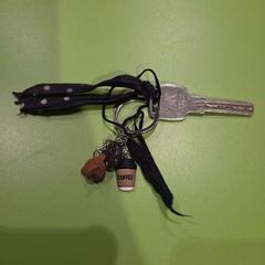 Klucze, zgłoszono przez Gemeente Hardenberg przy użyciu iLost