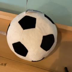 Labda, amint azt Familie Resort Molenwaard az iLost segítségével jelentette.