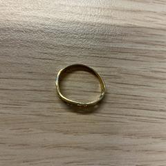 반지 goud kleurig, iLost를 사용하여 Gemeente Arnhem에 보고됨