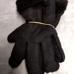 手袋 Zwart がiLostで Arriva Friesland / Groningen によって報告されました