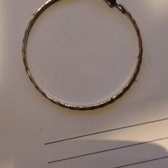 イヤリング Zilver がiLostで TivoliVredenburg によって報告されました