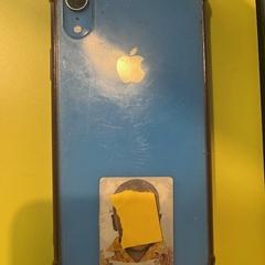 Mobile phone iPhone، كما تم الإبلاغ عنه بواسطة Room Mate Bruno عبر iLost