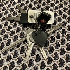 Sleutelbos がiLostに報告されました