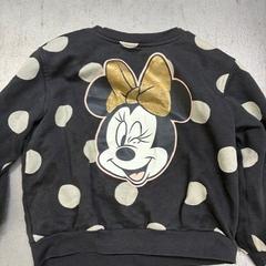 Trui mussepigg, zoals gemeld door IKEA Linköping met iLost