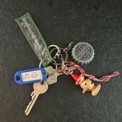Sleutelbos, jak zgłoszono do iLost