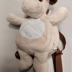 배낭, iLost를 사용하여 Centraal magazijn에 보고됨