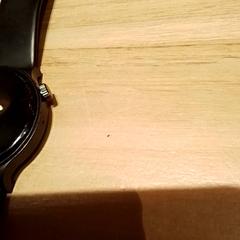 Polshorloge, zoals gemeld door Beekse Bergen Resorts en Hotel met iLost