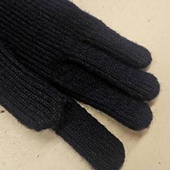 Handschoen handscheon, amint azt GVB az iLost segítségével jelentette.