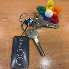 Giltza-giltza 2 metalen sleutels met stoffen bloem, gisa salatu by Politiezone Rivierenland iLost erabiliz