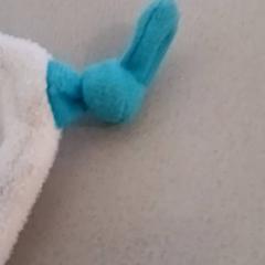 플러시 슬랩, iLost를 사용하여 De Efteling에 보고됨