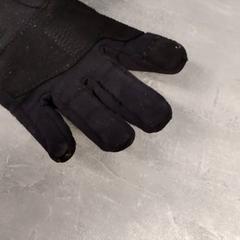 Hanske Zwart, som rapportert av Arriva Friesland / Groningen ved bruk av iLost