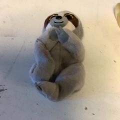 Kuscheltier, gemeldet von Artis über iLost