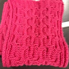 Sjaaltje, som rapportert av Gemeente Nijmegen ved bruk av iLost