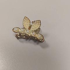Hair clip, as reported by Vrije Universiteit Amsterdam using iLost