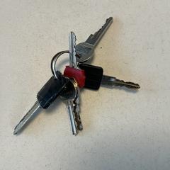 سلسلة المفاتيح، كما تم الإبلاغ عنه بواسطة Breng Arnhem عبر iLost