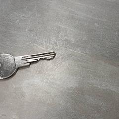 Clé Zilver, a été signalé par Arriva Friesland / Groningen utilisant iLost