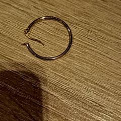 Ohrring, gemeldet von Van der Valk Hotel Apeldoorn - De Cantharel über iLost