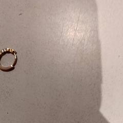 Náušnice, jak nahlášeno De Efteling pomocí iLost