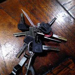 Sleutelbos a été signalé sur iLost